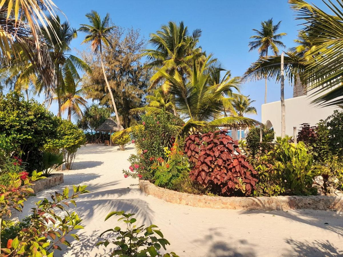 Kijani Beach Villas Bwejuu Dış mekan fotoğraf
